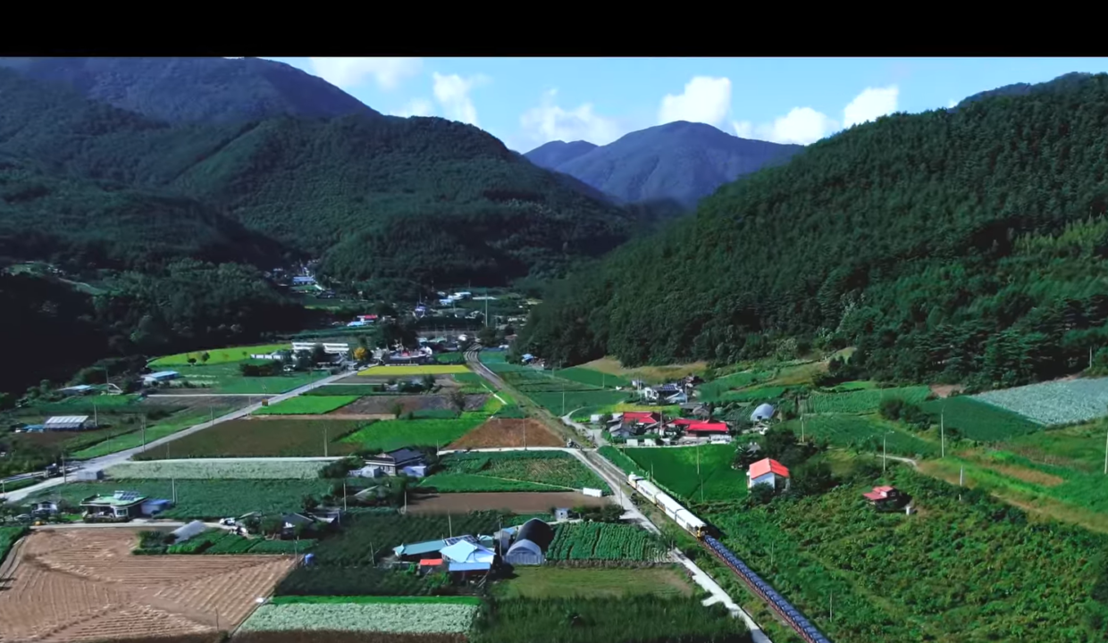 전체화면 캡처 2022-07-24 오후 65930